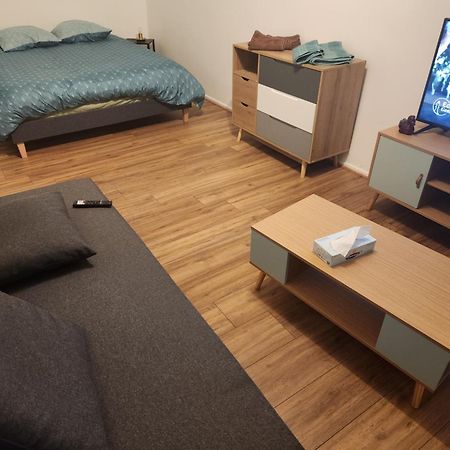 Appartamento Plein Centre Malzéville Esterno foto